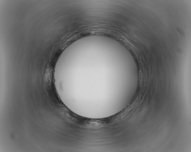 X0000113230475200909100947