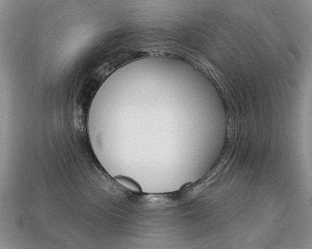 X0000113230477200909100947