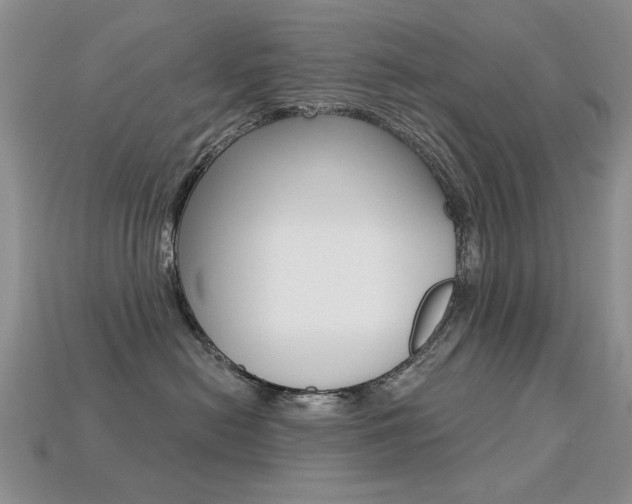 X0000113230478200909100947