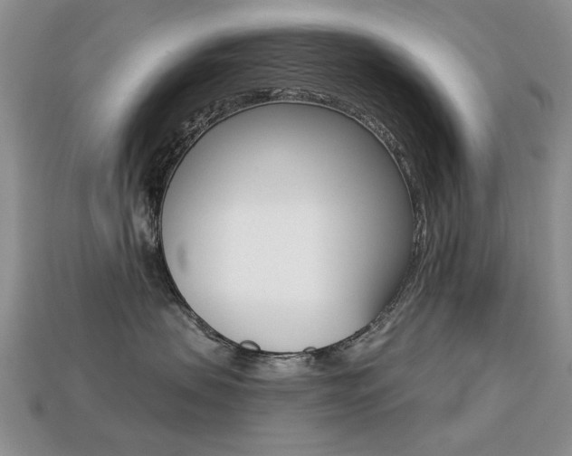 X0000113230479200909100947
