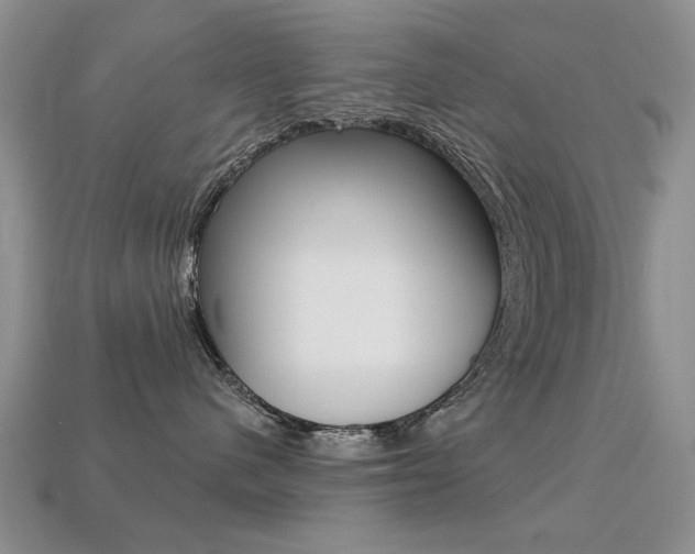 X0000113230480200909100947