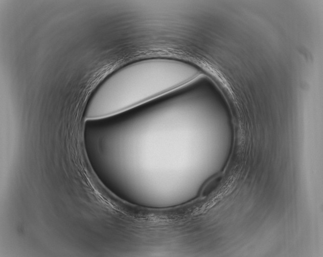 X0000113230481200909100946