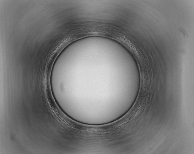 X0000113230482200909100946