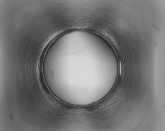 X0000113230483200909100946