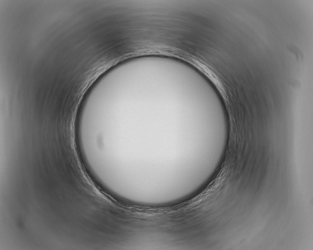X0000113230485200909100946
