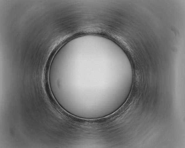 X0000113230487200909100946