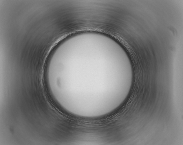 X0000113230488200909100946
