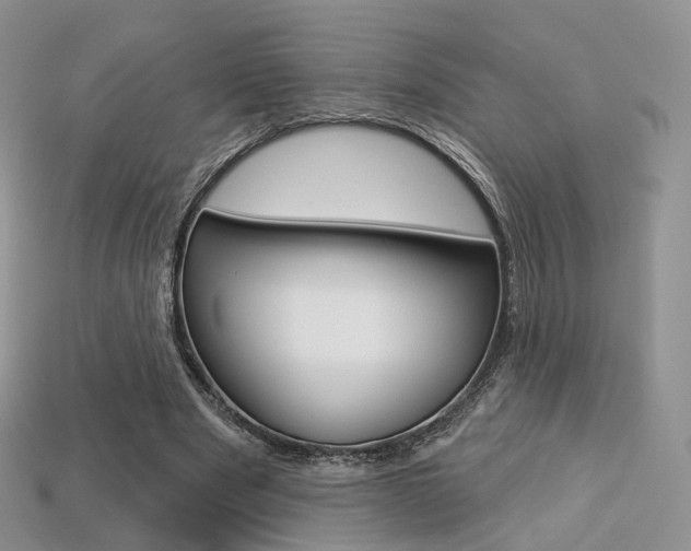 X0000113230489200909100946