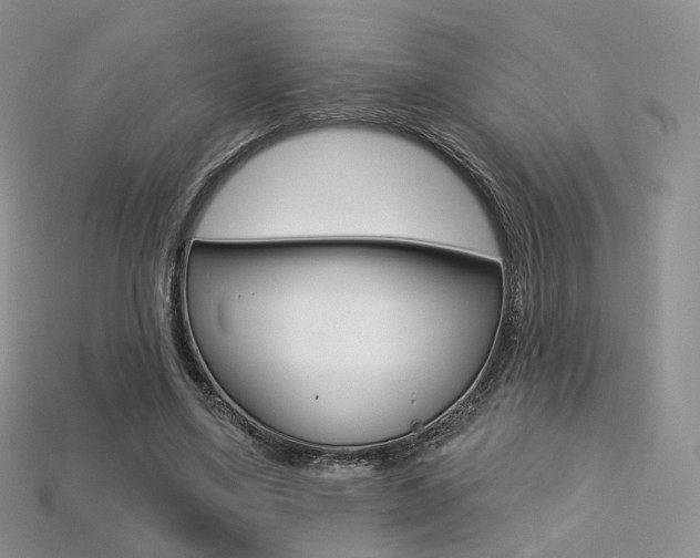 X0000113230491200909100946