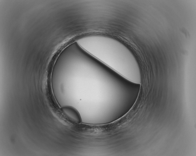 X0000113230492200909100946