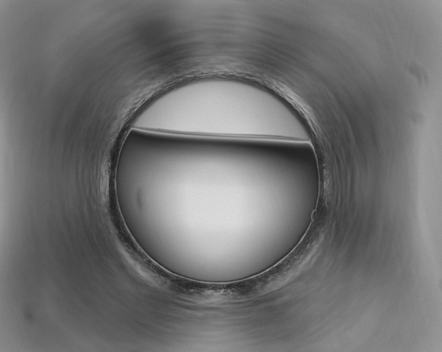 X0000113230493200909100946
