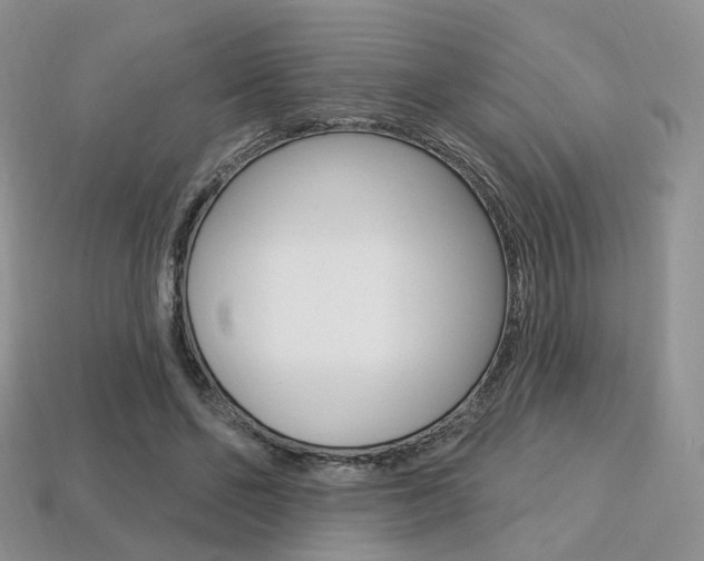X0000113230494200909100946