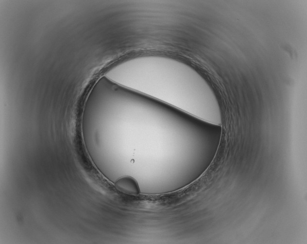 X0000113230496200909100946