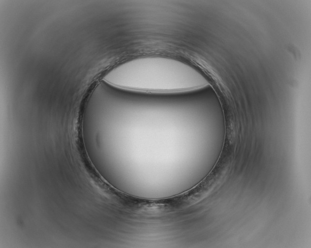 X0000113230497200909100946