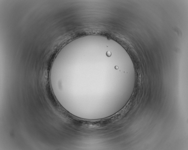 X0000113230498200909100946