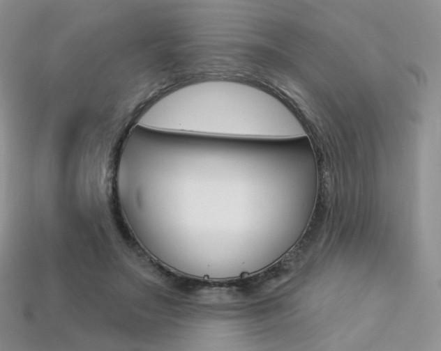 X0000113230499200909100946
