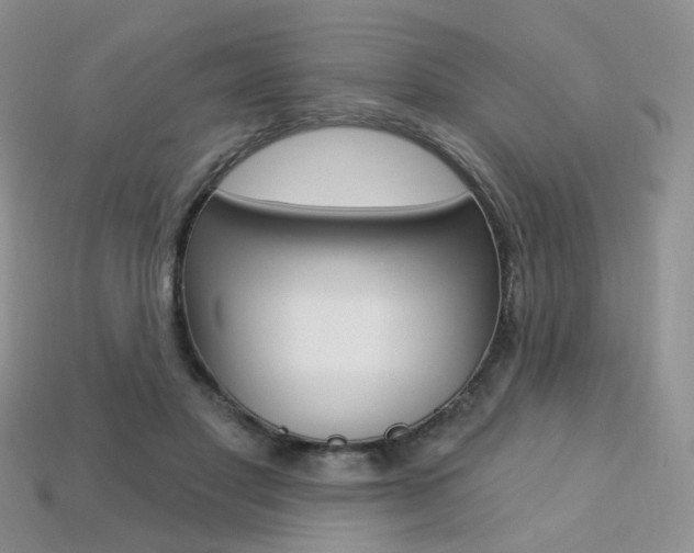 X0000113230501200909100946