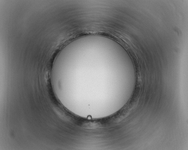 X0000113230503200909100946