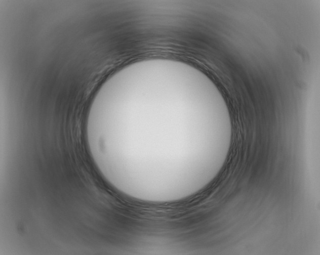 X0000113230504200909100946