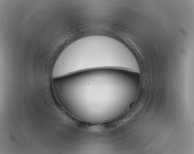 X0000113230505200909100946