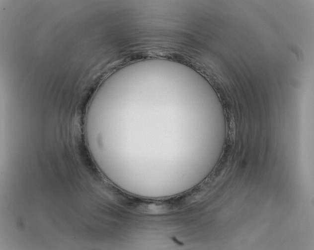 X0000113230506200909100946