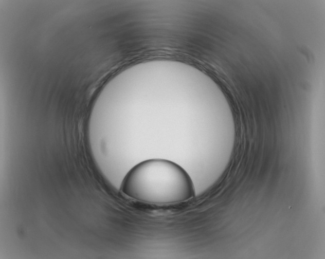 X0000113230508200909100946