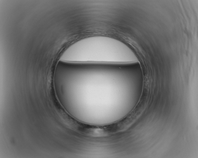X0000113230509200909100946