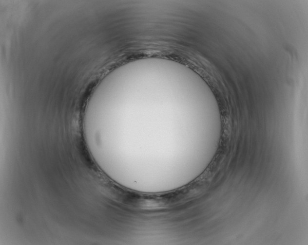 X0000113230510200909100946