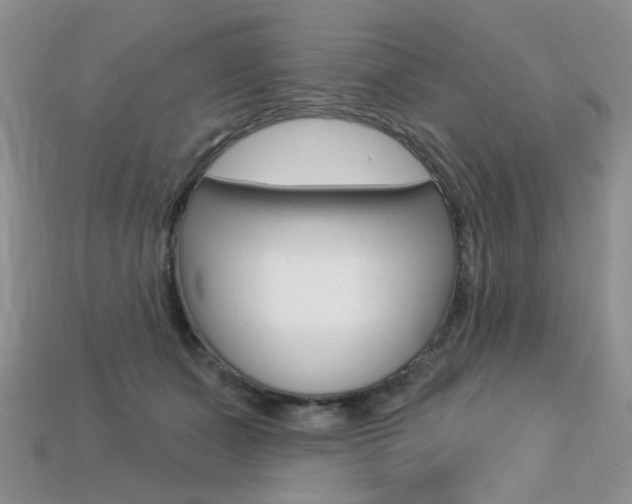 X0000113230511200909100946