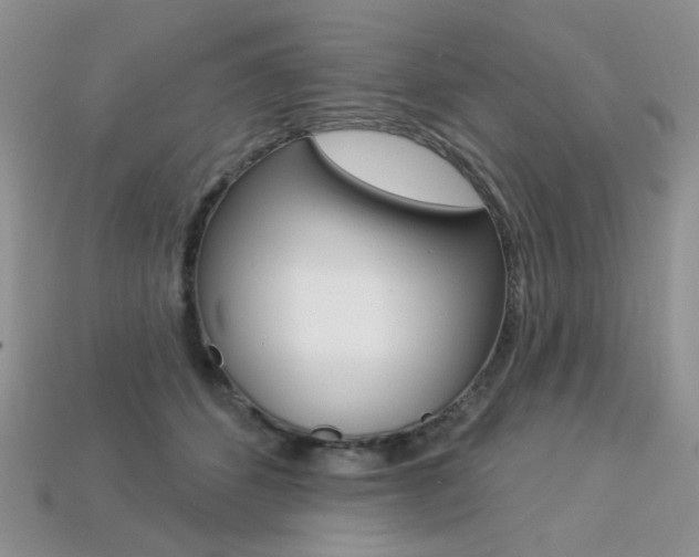 X0000113230512200909100946