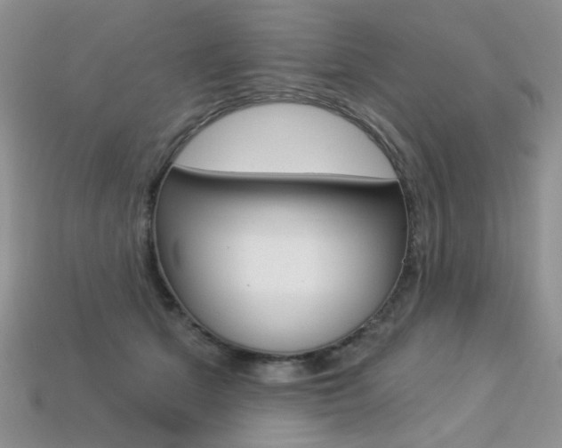 X0000113230513200909100946