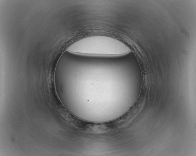 X0000113230517200909100946