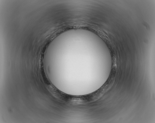 X0000113230519200909100946