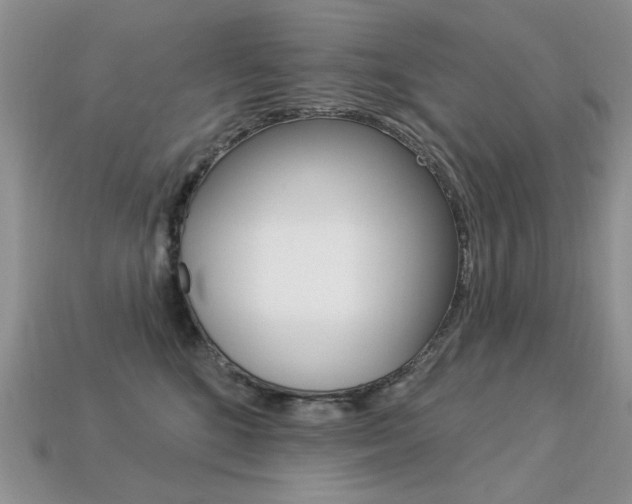 X0000113230520200909100946