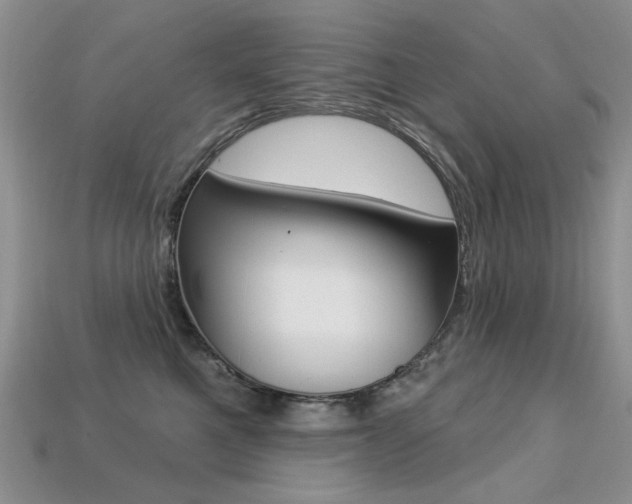 X0000113230521200909100946