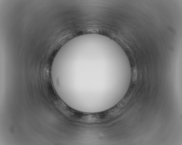 X0000113230522200909100946