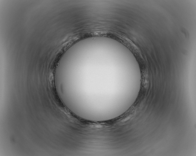 X0000113230523200909100946