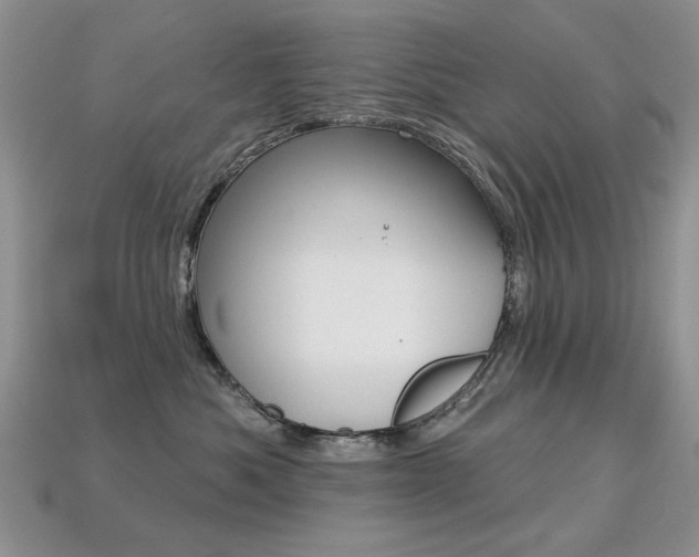 X0000113230525200909100946