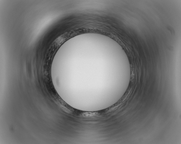 X0000113230526200909100946