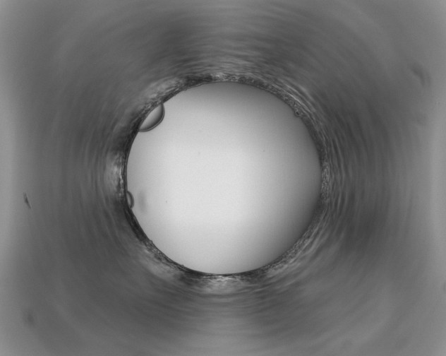 X0000113230527200909100946