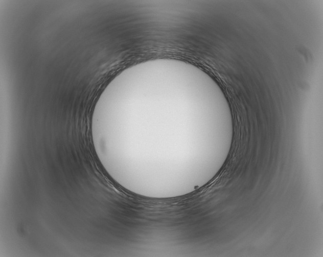 X0000113230528200909100946