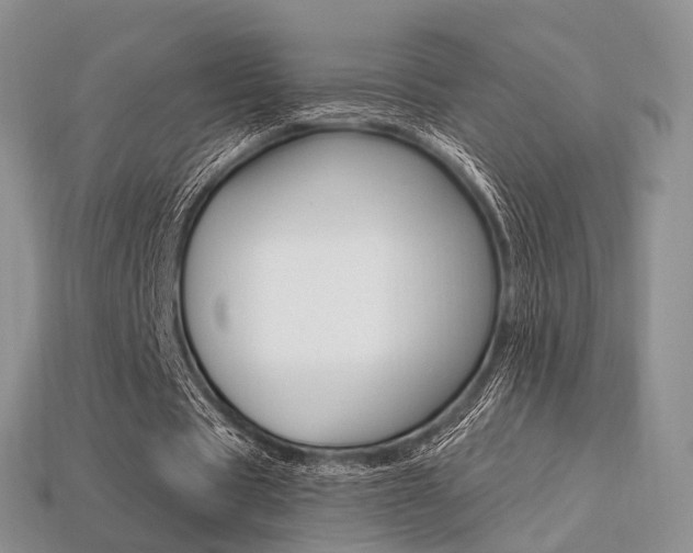 X0000113230529200909100945