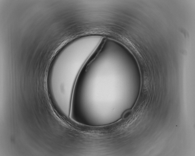 X0000113230530200909100945