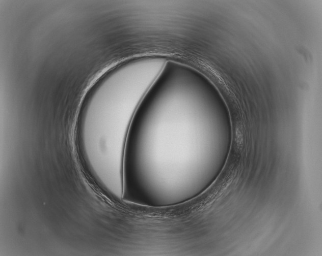 X0000113230532200909100945
