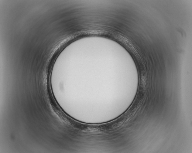 X0000113230534200909100945