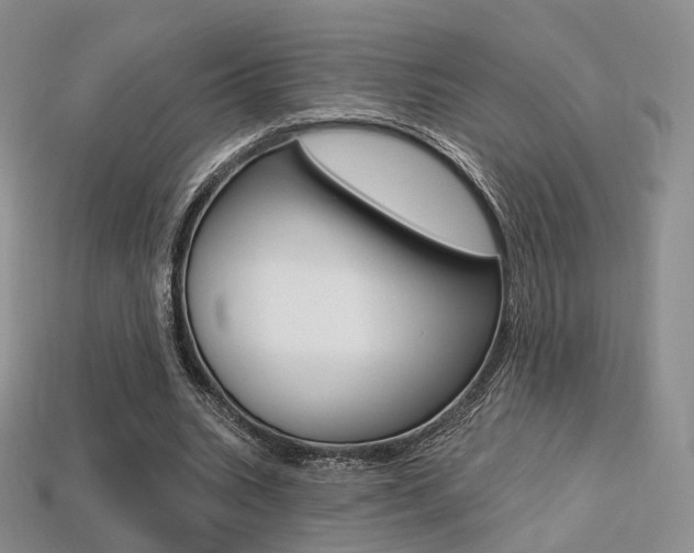 X0000113230535200909100945