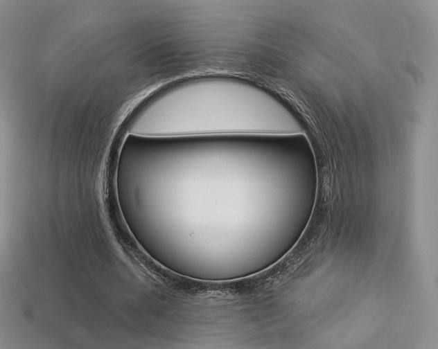 X0000113230536200909100945