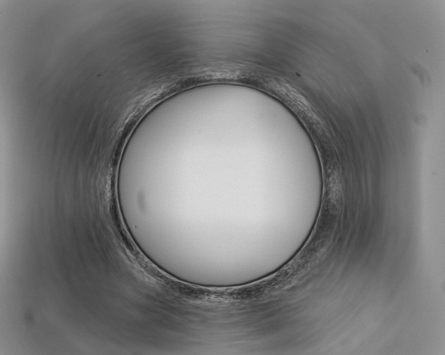 X0000113230537200909100945