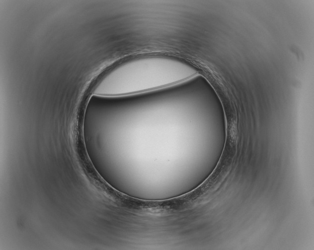 X0000113230540200909100945