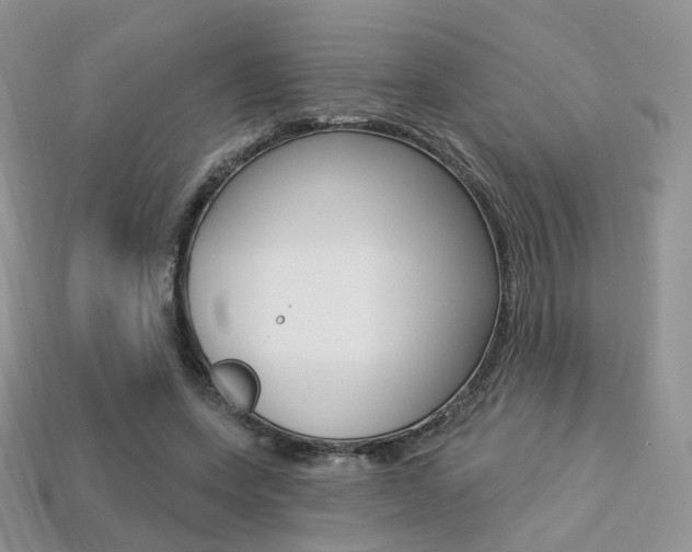 X0000113230543200909100945